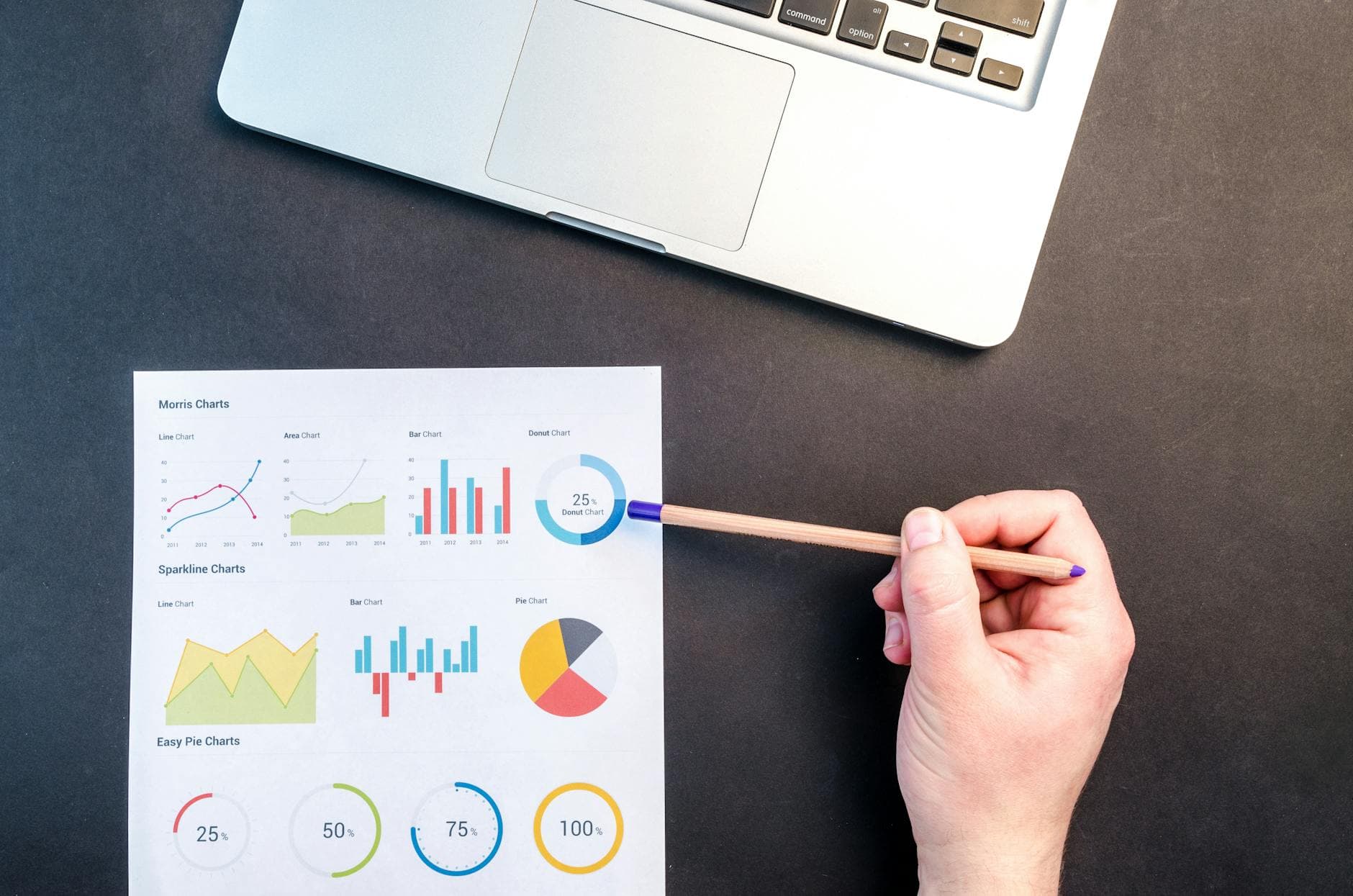 SEO professional reviewing website analytics and search performance metrics