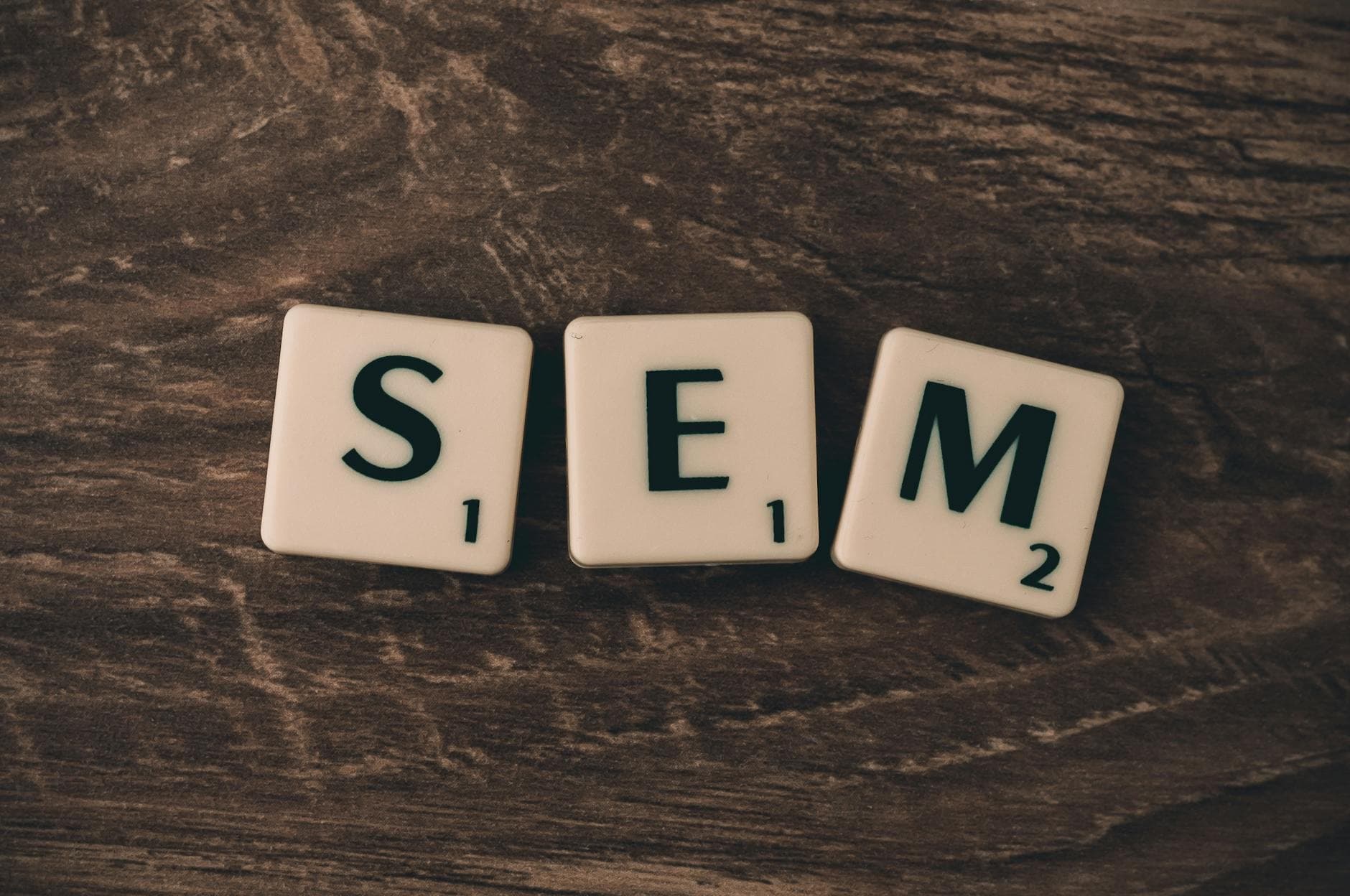 Michigan business owner reviewing digital marketing campaign analytics and results